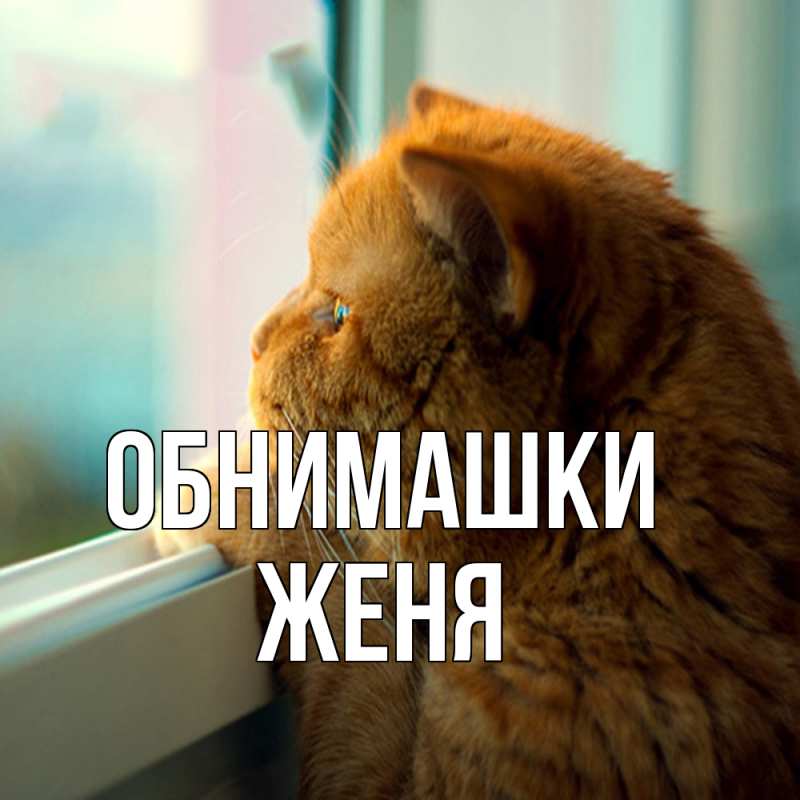 Открытка с именем, Женя, Обнимашки