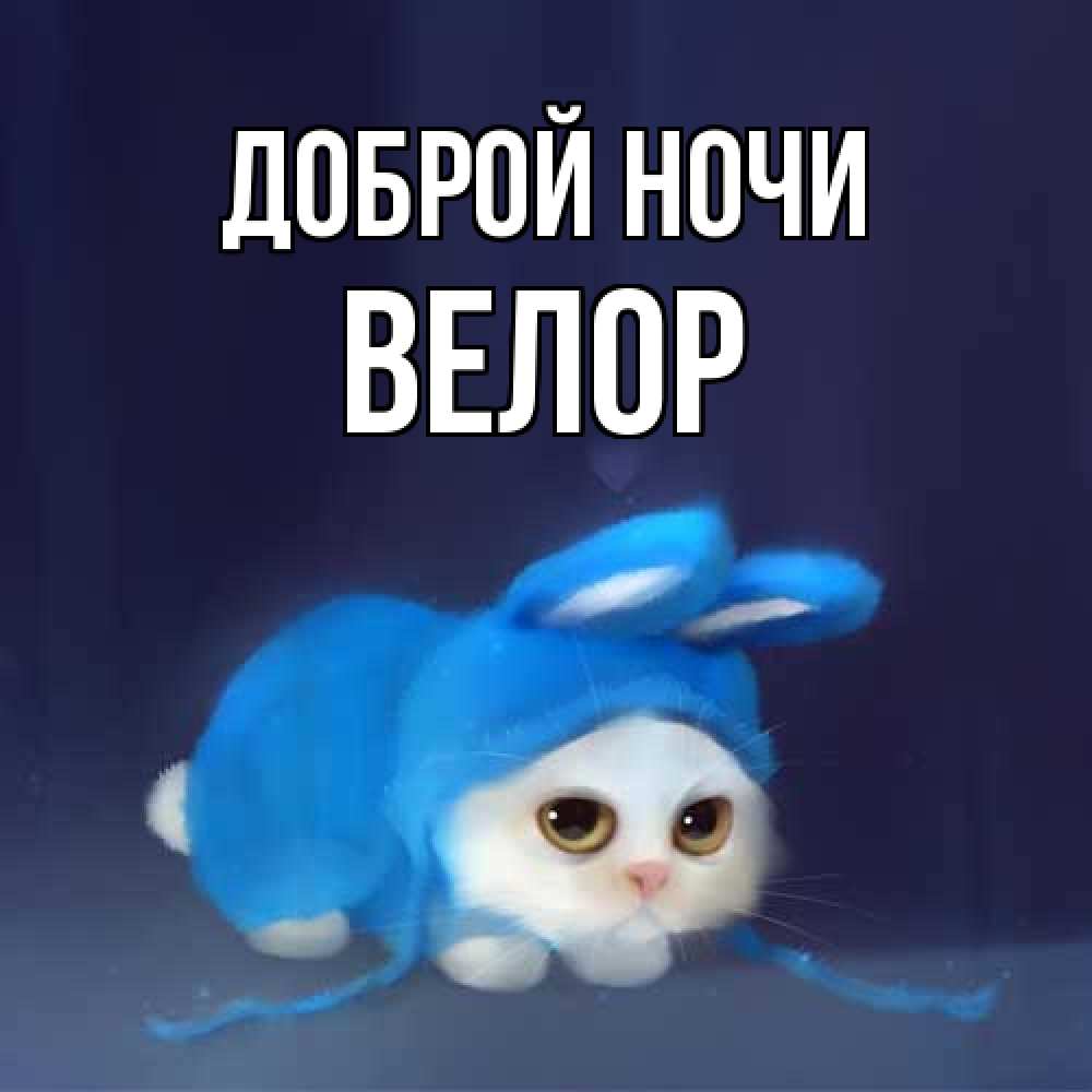 Открытка на каждый день с именем, Велор Доброй ночи кот в голубом костюме кролика с ушками Прикольная открытка с пожеланием онлайн скачать бесплатно 