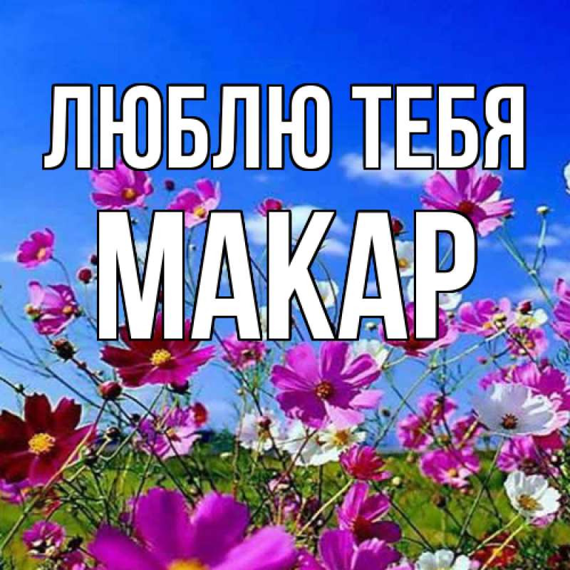 Открытка с именем, Макар, Люблю тебя