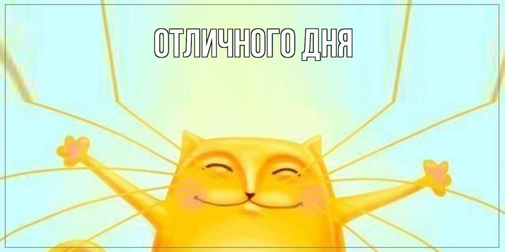 Открытка на каждый день с именем, Яков Как дела кот Прикольная открытка с пожеланием онлайн скачать бесплатно 