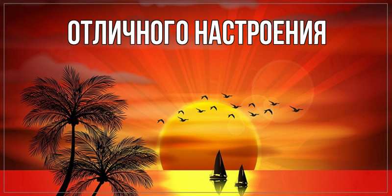 Картинка Как дела, Аполлинария