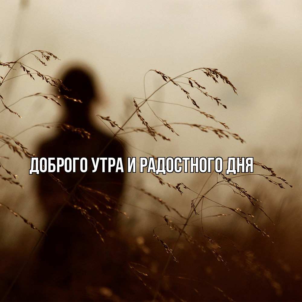 Открытка на каждый день с именем, Ия Не грусти все будет хорошо грусть Прикольная открытка с пожеланием онлайн скачать бесплатно 