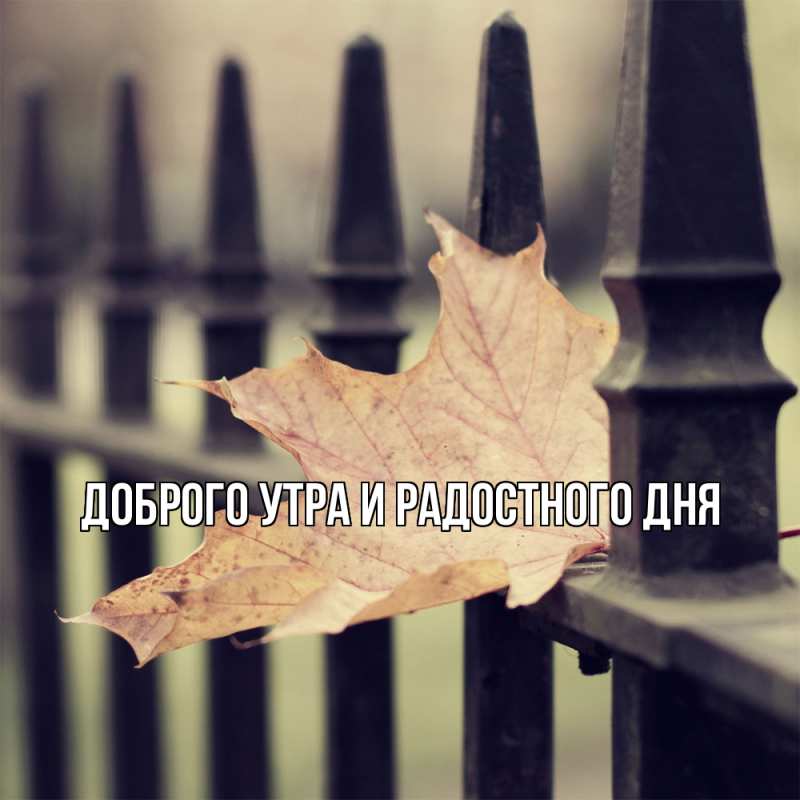 Картинка Не грусти, все будет хорошо, Ия