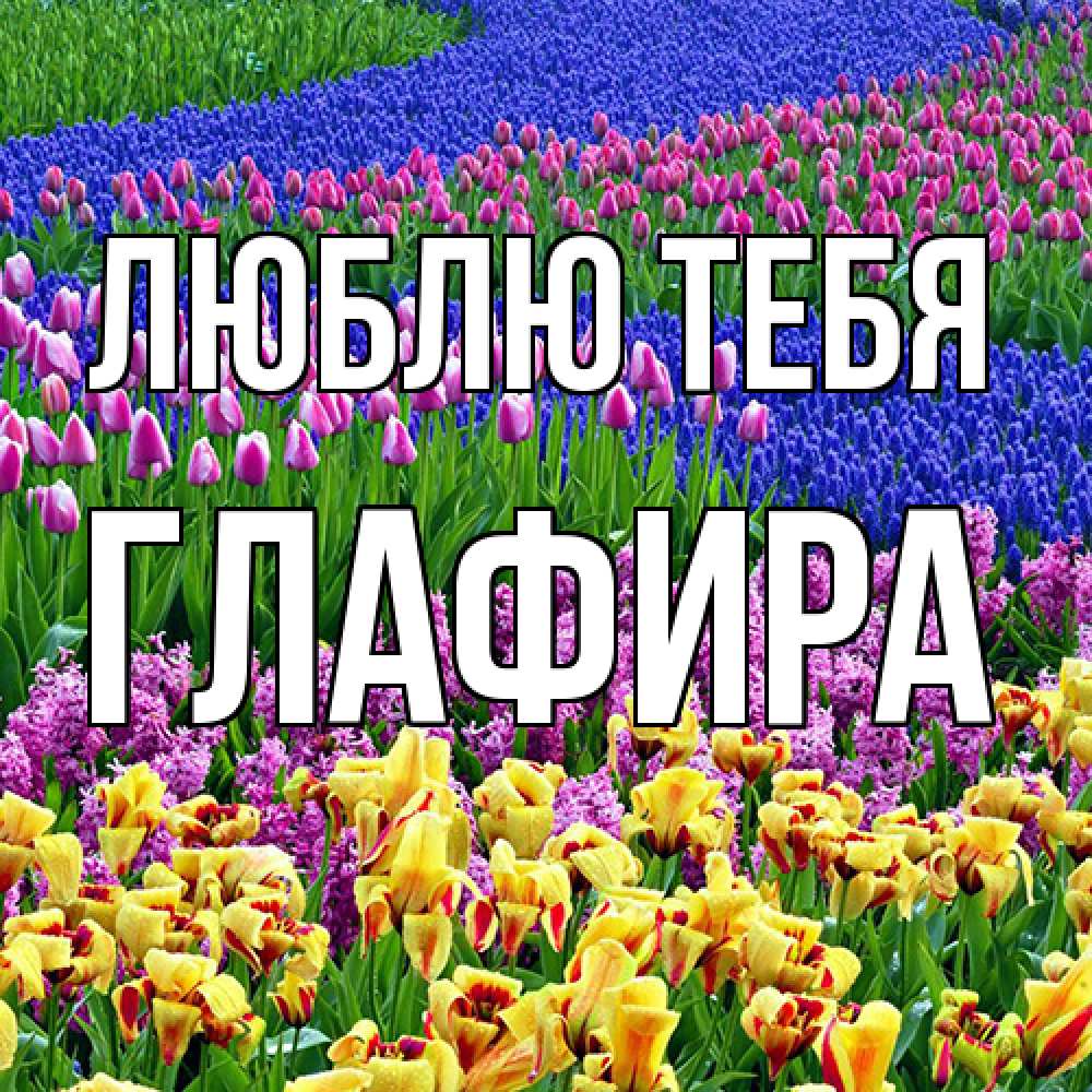Открытка на каждый день с именем, Глафира Люблю тебя цветы Прикольная открытка с пожеланием онлайн скачать бесплатно 