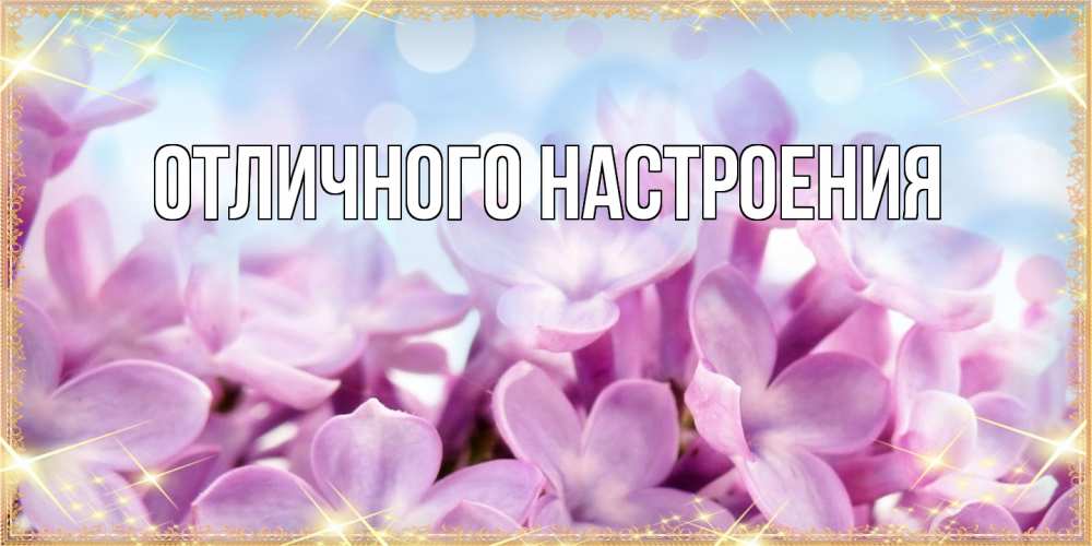 Открытка на каждый день с именем, Габриэлла Люблю тебя открытка на международный женский день с цветами Прикольная открытка с пожеланием онлайн скачать бесплатно 