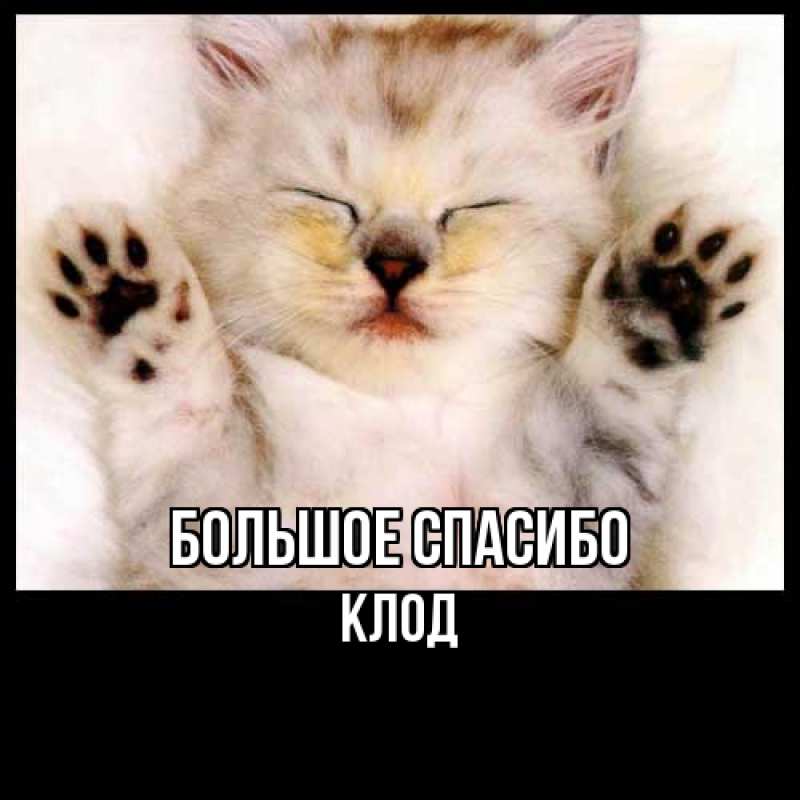 Картинка Большое спасибо, Клод