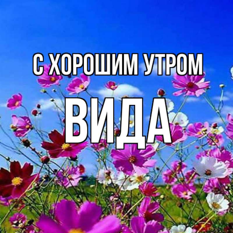 Картинка С хорошим утром, Вида