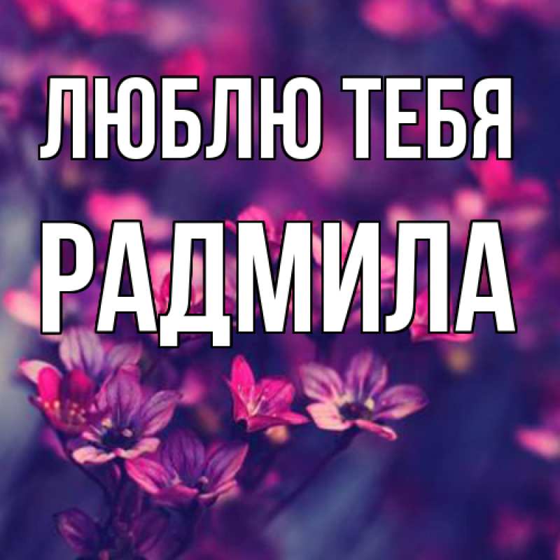 Картинка Люблю тебя, Радмила