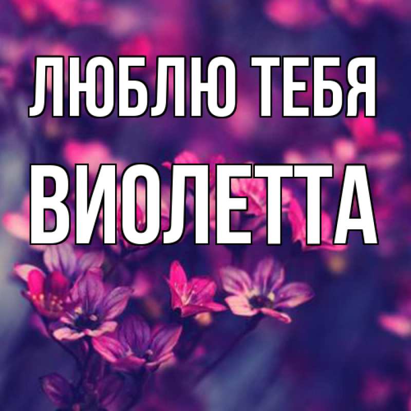 Картинка Люблю тебя, Виолетта