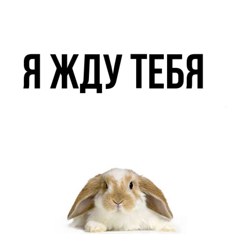Картинка Я жду тебя, 