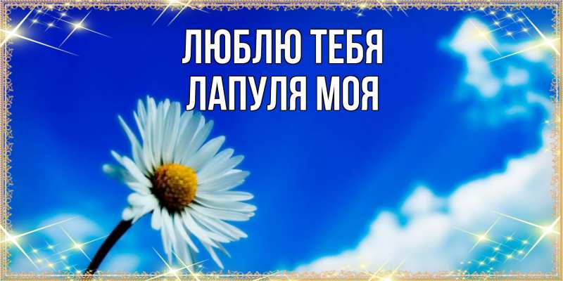 Картинка Люблю тебя, Лапуля моя