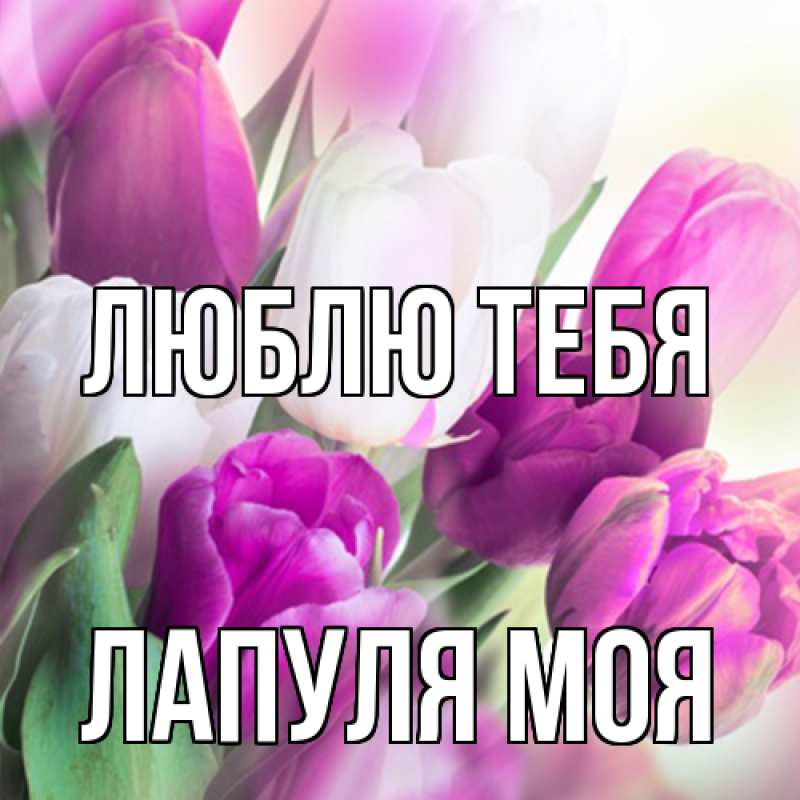 Картинка Люблю тебя, Лапуля моя