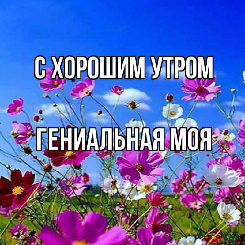 Картинка С хорошим утром, Гениальная моя