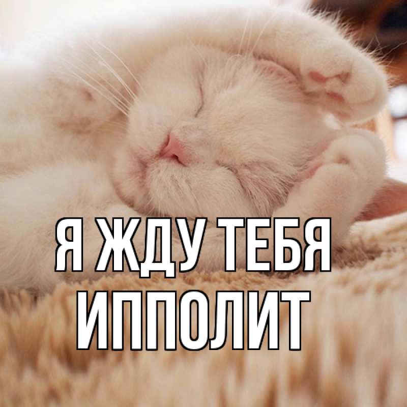 Картинка Я жду тебя, Ипполит
