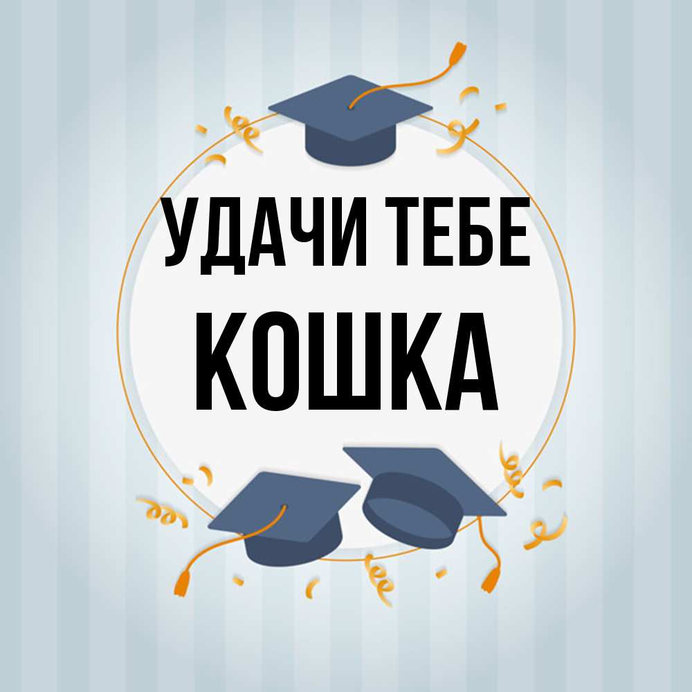 Открытка на каждый день с именем, Кошка Удачи тебе для студентов Прикольная открытка с пожеланием онлайн скачать бесплатно 