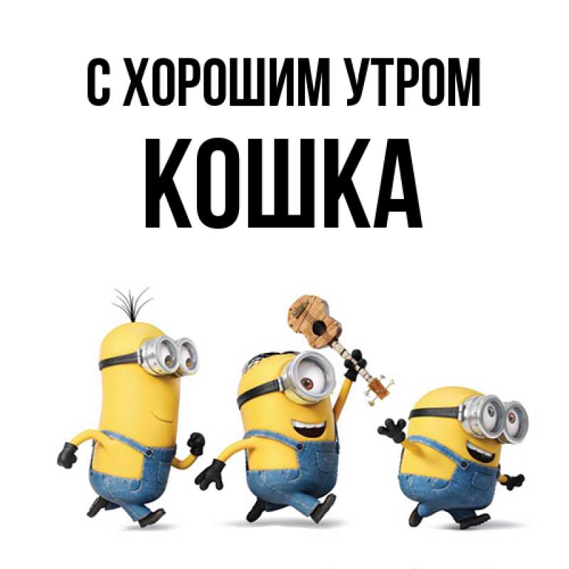 Картинка С хорошим утром, Кошка