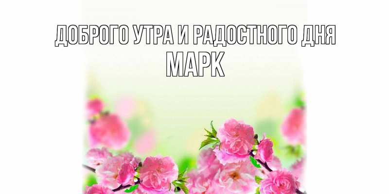 Картинка Доброго утра и радостного дня, Марк
