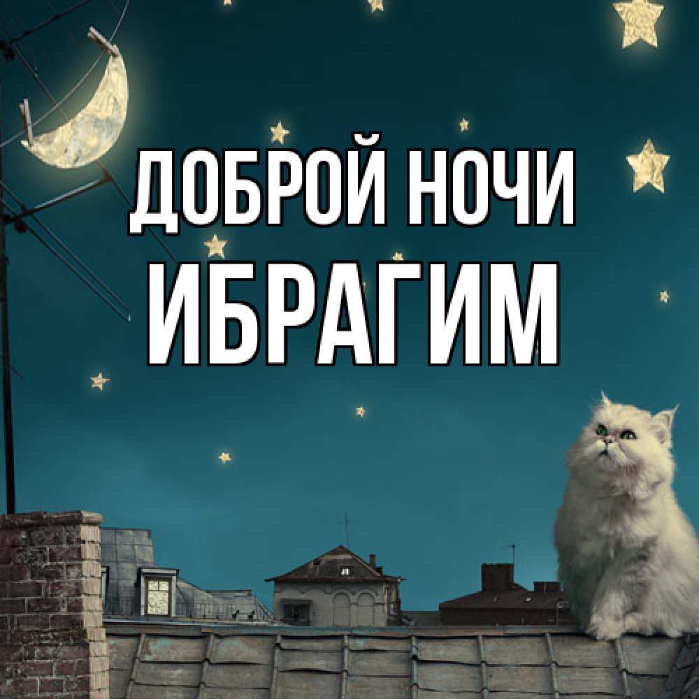Открытка на каждый день с именем, Ибрагим Доброй ночи белый кот сидит на крыше Прикольная открытка с пожеланием онлайн скачать бесплатно 
