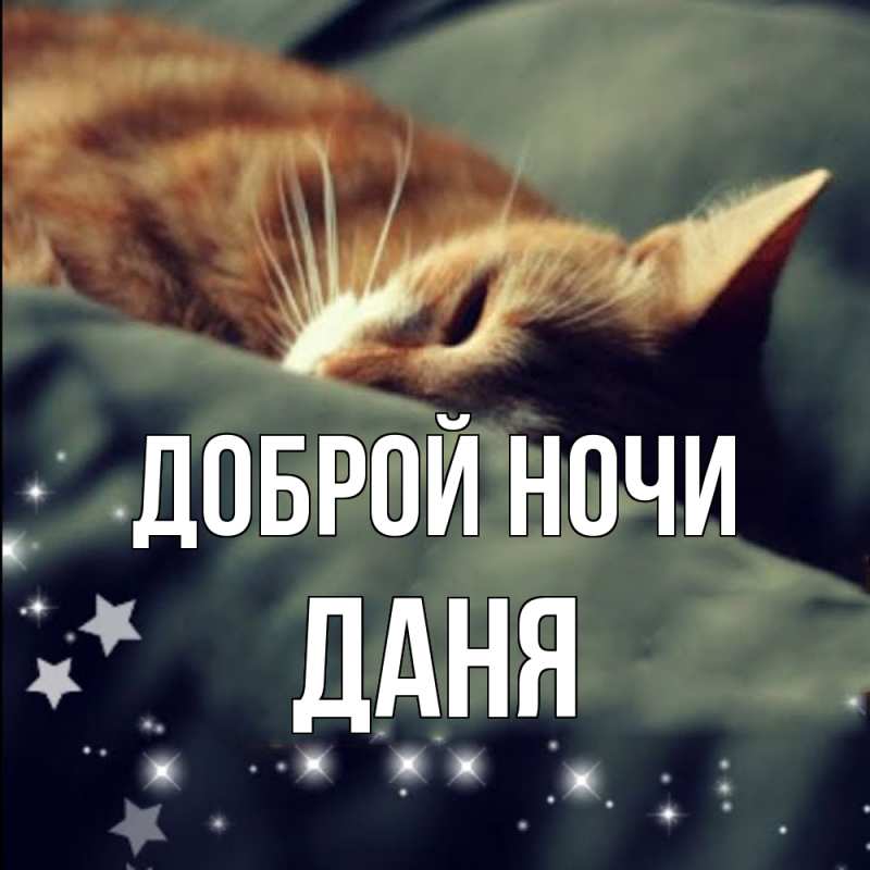 Картинка Доброй ночи, Даня