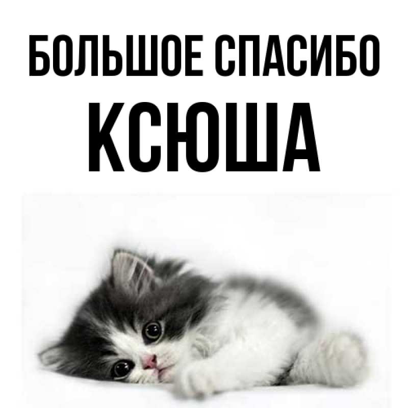 Картинка Большое спасибо, Ксюша