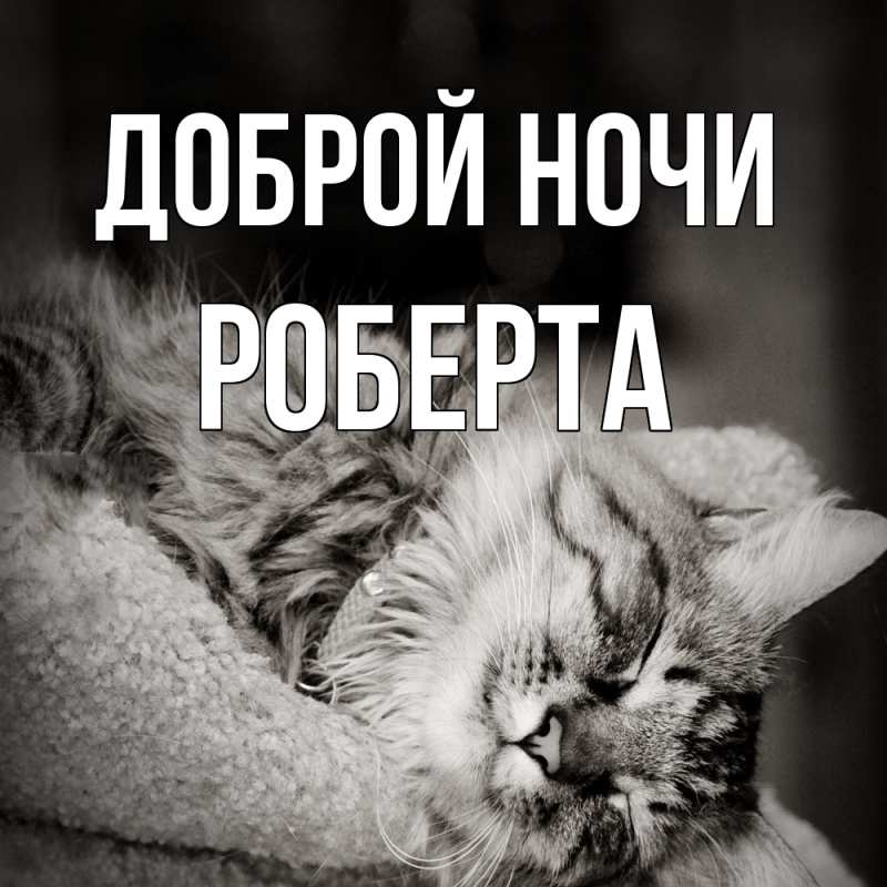 Картинка Доброй ночи, Роберта