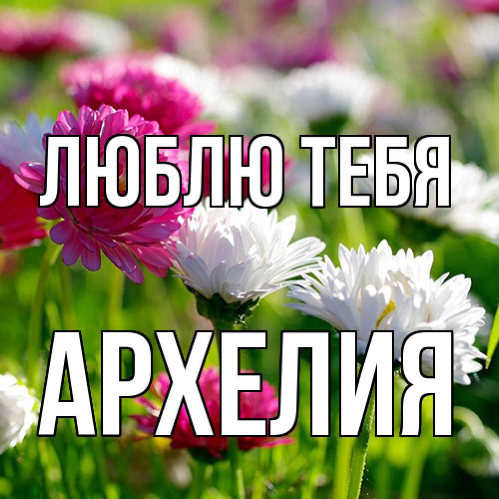Открытка на каждый день с именем, Архелия Люблю тебя международный женский день 1 Прикольная открытка с пожеланием онлайн скачать бесплатно 