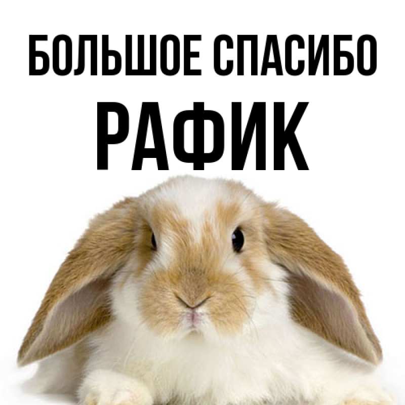 Картинка Большое спасибо, Рафик
