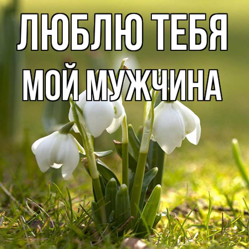 Открытка с именем, Мой мужчина, Люблю тебя