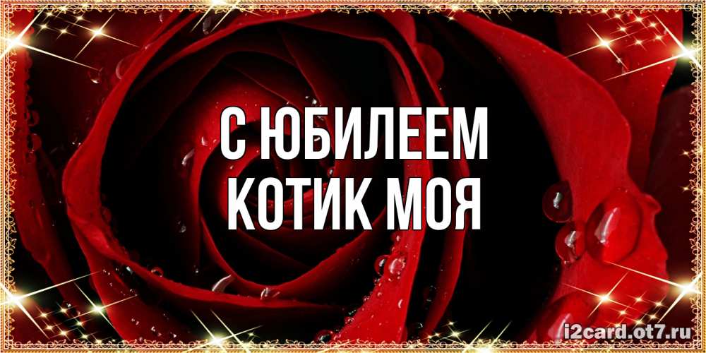 Открытка на каждый день с именем, Котик-моя C юбилеем цветок в росе на день рождения Прикольная открытка с пожеланием онлайн скачать бесплатно 