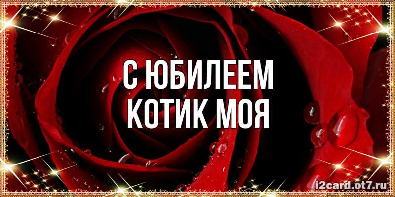 Картинка C юбилеем, Котик моя