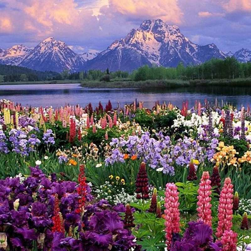 Картинка Люблю тебя, 