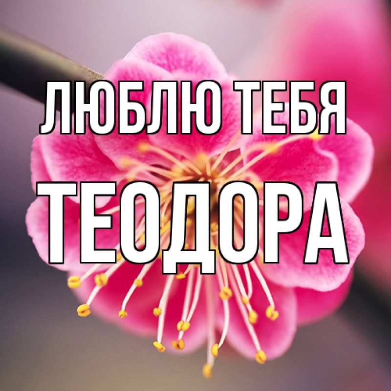 Открытка с именем, Теодора, Люблю тебя