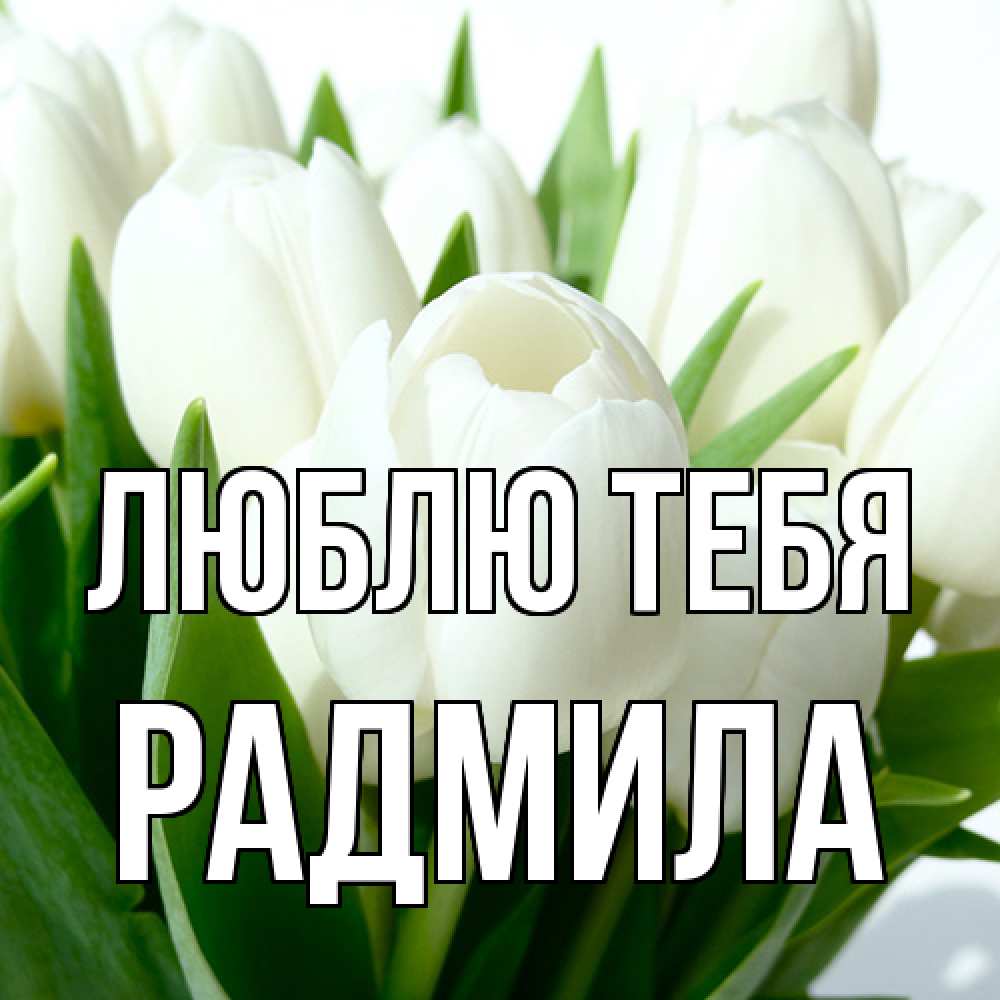 Открытка на каждый день с именем, Радмила Люблю тебя цветы Прикольная открытка с пожеланием онлайн скачать бесплатно 