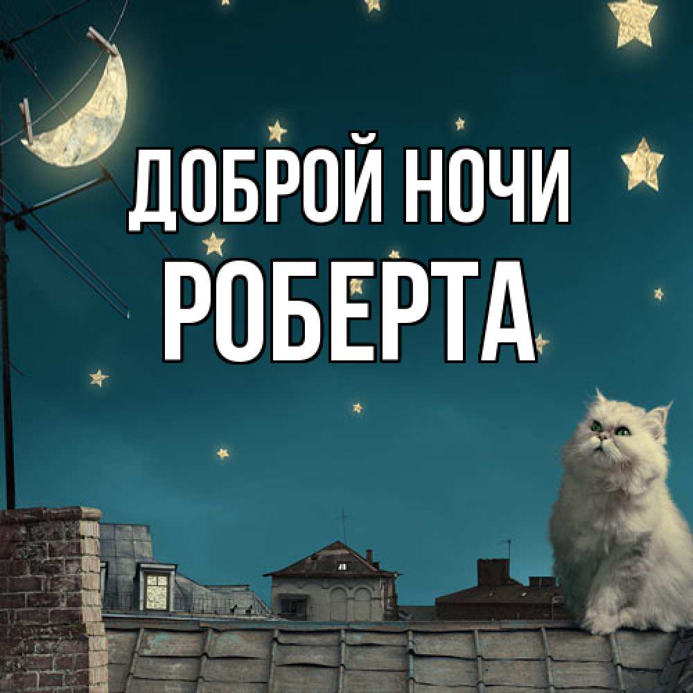 Открытка на каждый день с именем, Роберта Доброй ночи белый кот сидит на крыше Прикольная открытка с пожеланием онлайн скачать бесплатно 
