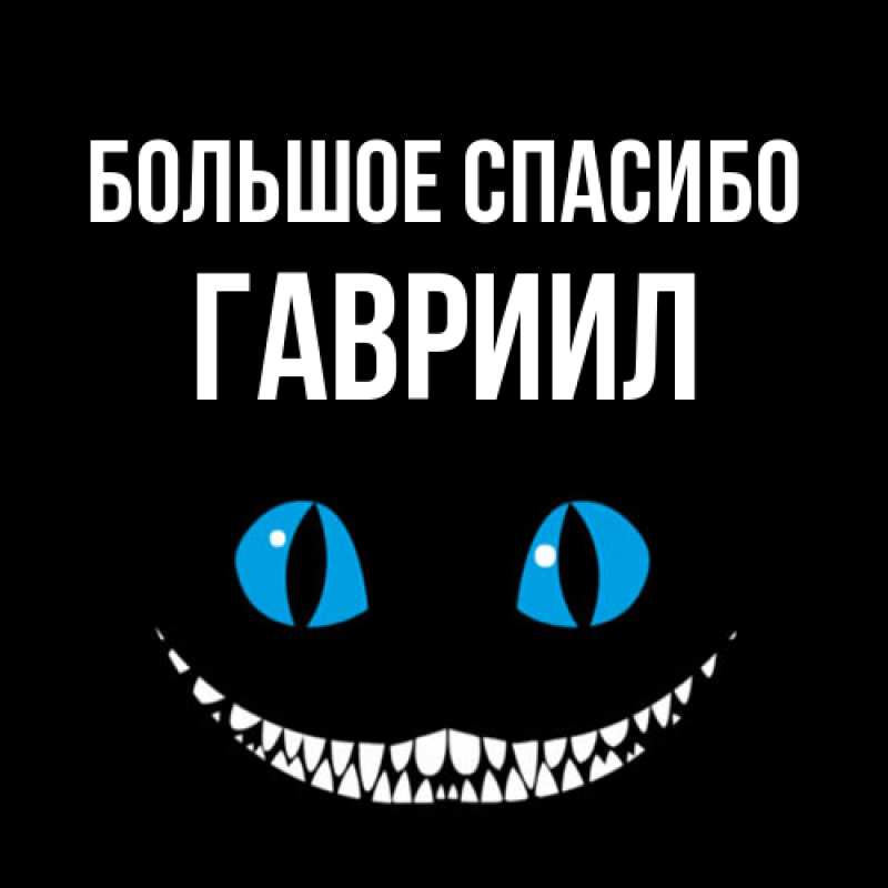 Картинка Большое спасибо, Гавриил