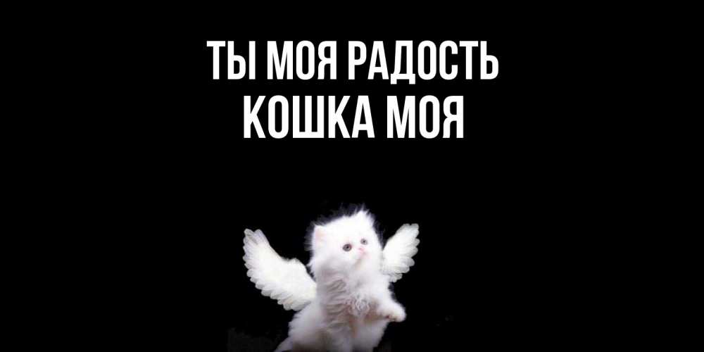Открытка на каждый день с именем, Кошка-моя Ты моя радость Кот ангел Прикольная открытка с пожеланием онлайн скачать бесплатно 