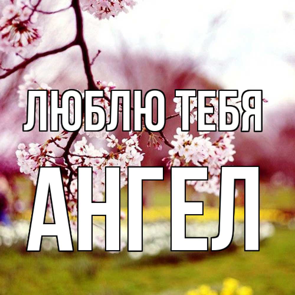 Открытка на каждый день с именем, Ангел Люблю тебя яблоня Прикольная открытка с пожеланием онлайн скачать бесплатно 