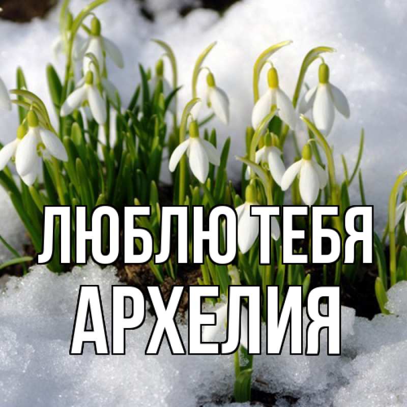 Картинка Люблю тебя, Архелия