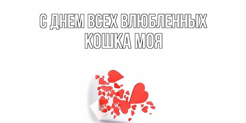 Картинка С днем всех влюбленных, Кошка моя
