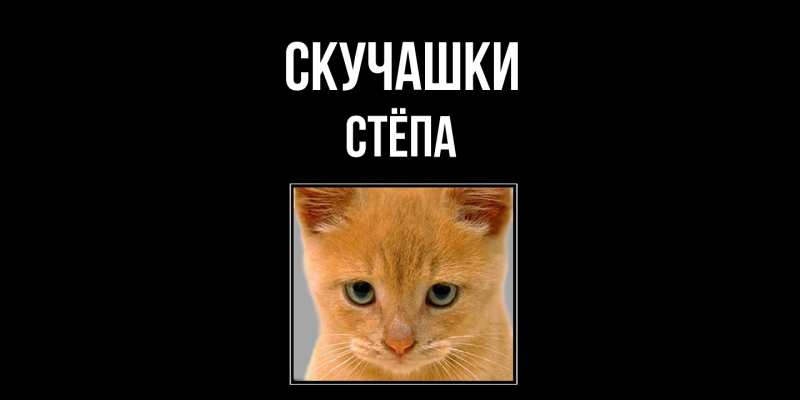 Картинка Скучашки, Стёпа