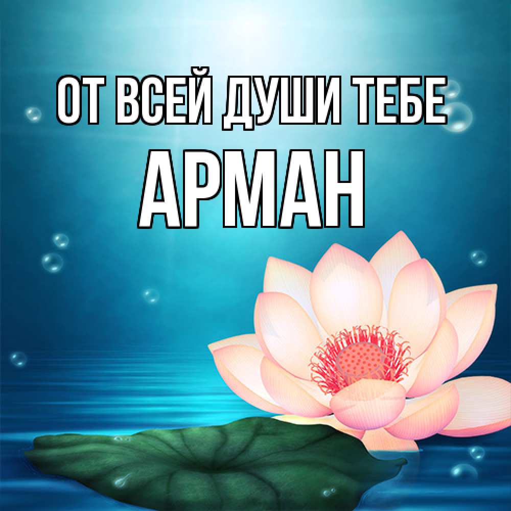 Открытка на каждый день с именем, Арман От всей души тебе кувшинка Прикольная открытка с пожеланием онлайн скачать бесплатно 