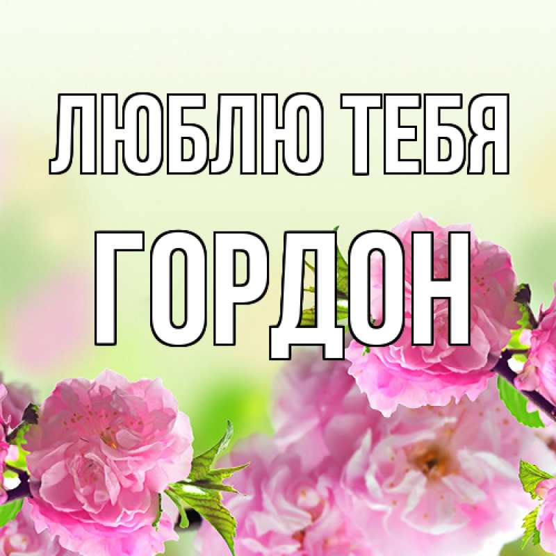 Картинка Люблю тебя, Гордон