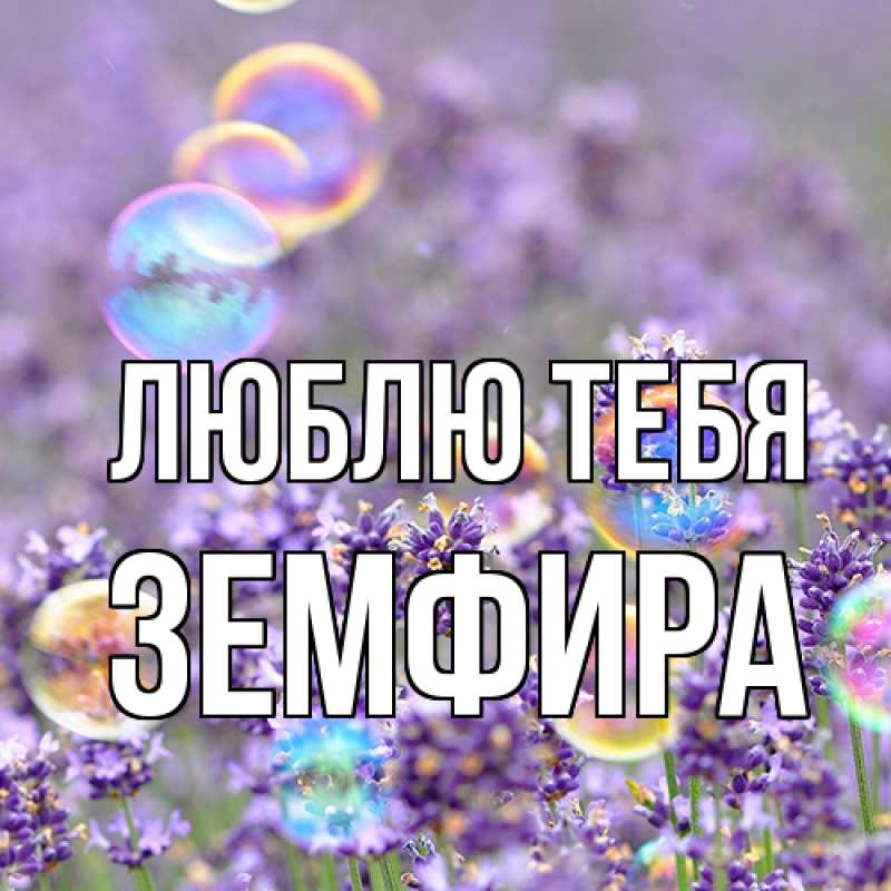 Картинка Люблю тебя, Земфира