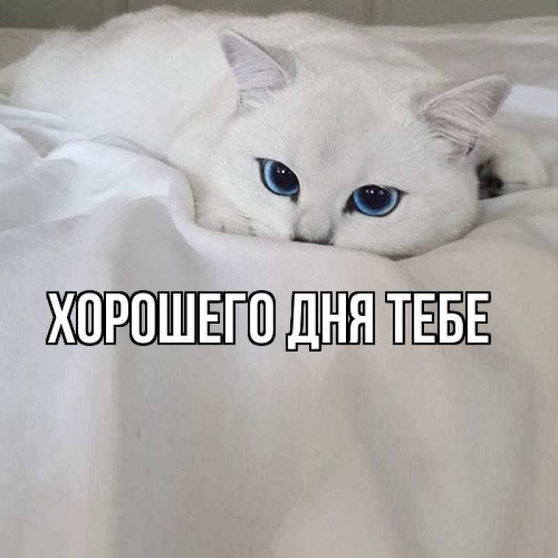 Картинка Я жду тебя, Офелия