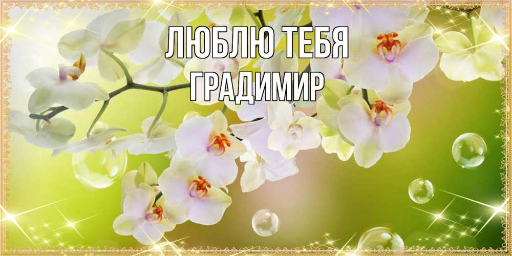 Открытка на каждый день с именем, Градимир Люблю тебя открытка с цветами на международный женский день Прикольная открытка с пожеланием онлайн скачать бесплатно 
