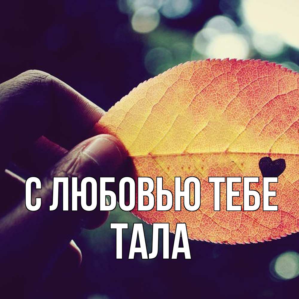 Открытка на каждый день с именем, Тала С любовью тебе держу лист Прикольная открытка с пожеланием онлайн скачать бесплатно 