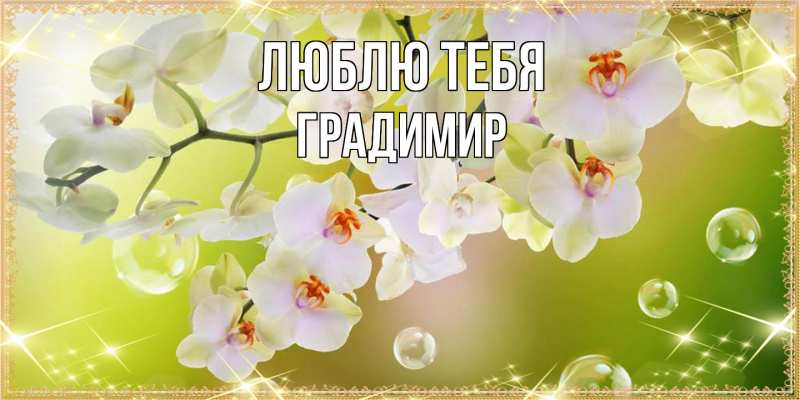 Картинка Люблю тебя, Градимир