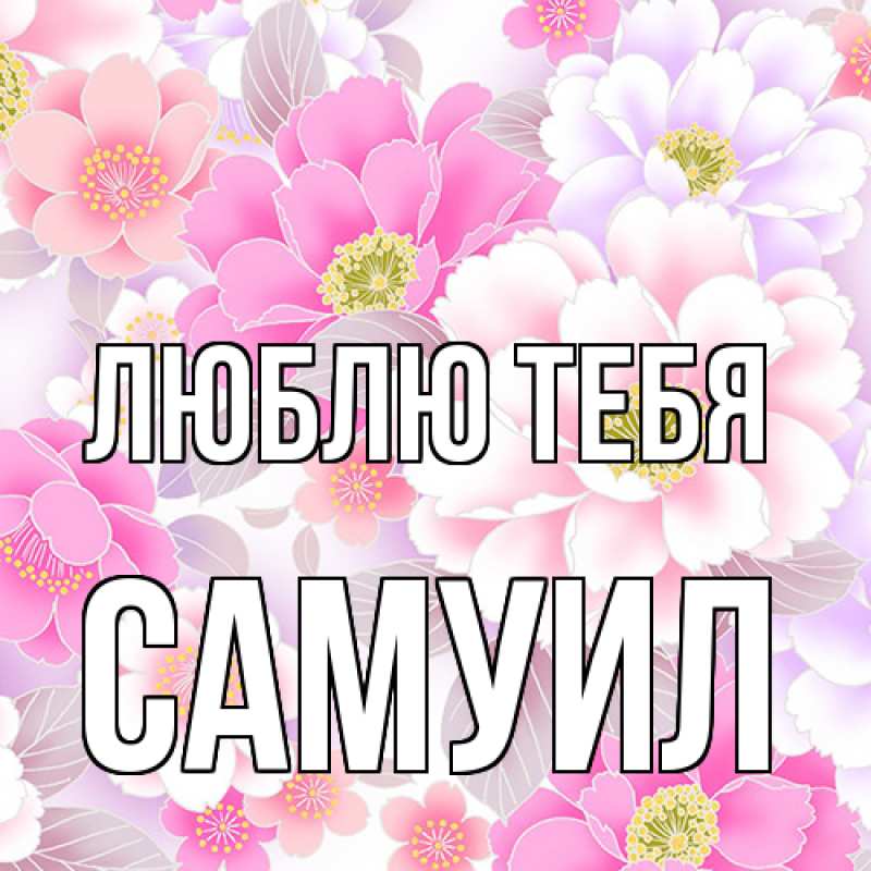 Картинка Люблю тебя, Самуил