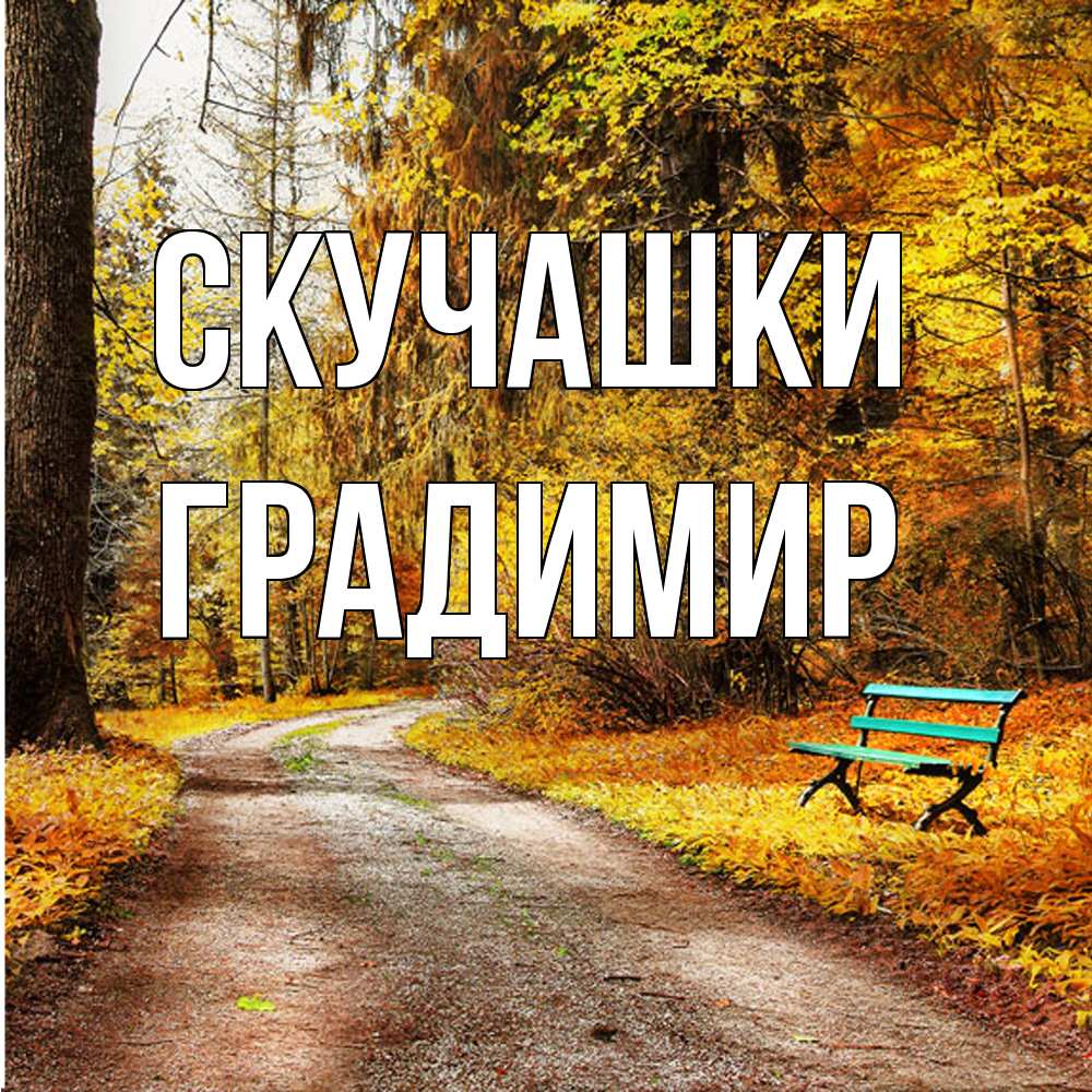 Открытка на каждый день с именем, Градимир Скучашки зеленая лавочка и осенний лес Прикольная открытка с пожеланием онлайн скачать бесплатно 