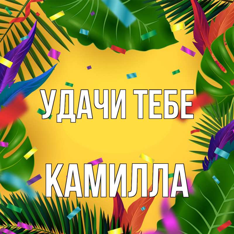 Картинка Удачи тебе, Камилла